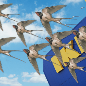 Photo of IKEA Croydon with birds in the foreground. 