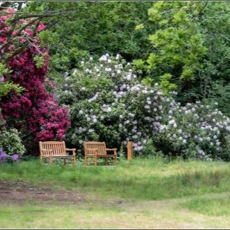 Colourful bushes at Wilderness